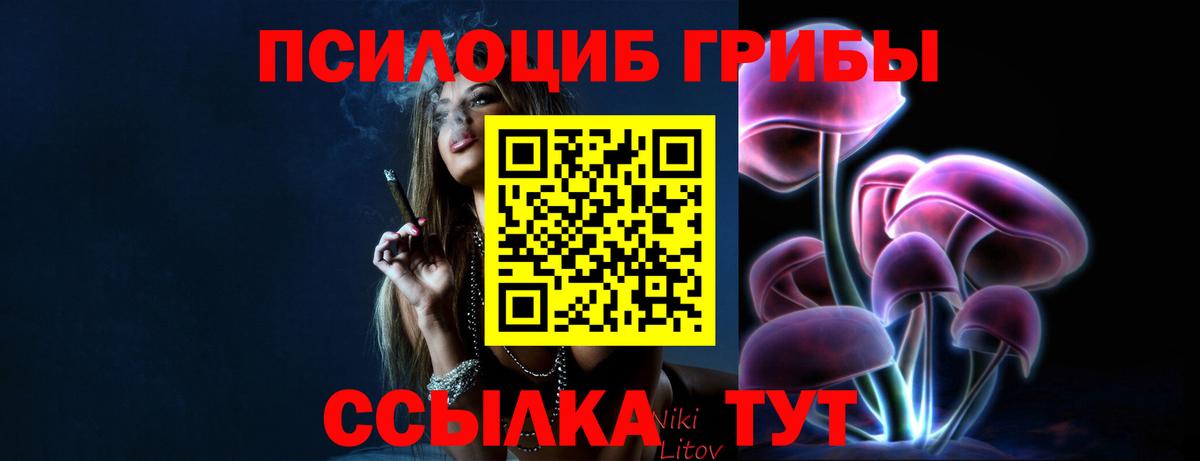Псилоцибиновые грибы Cubensis Королёв